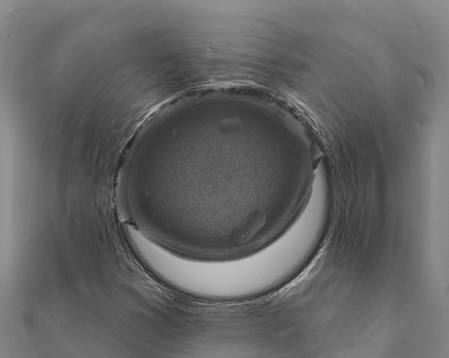 X0000112101353200908181316