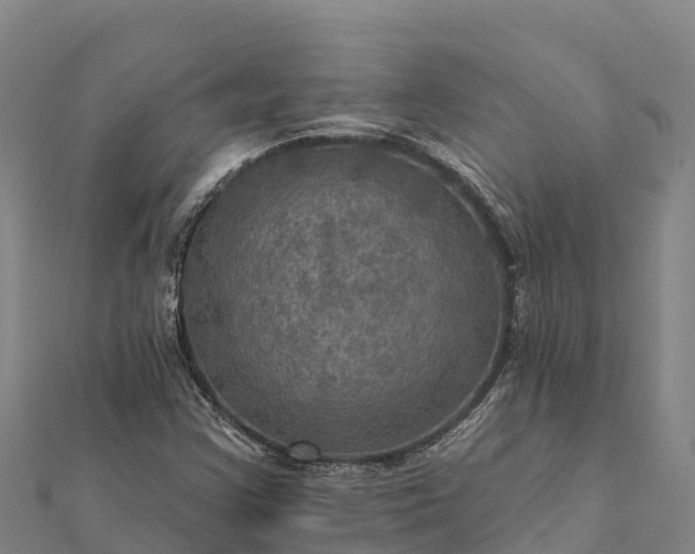 X0000112101355200908181316
