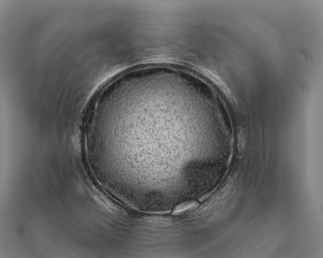 X0000112101356200908181316