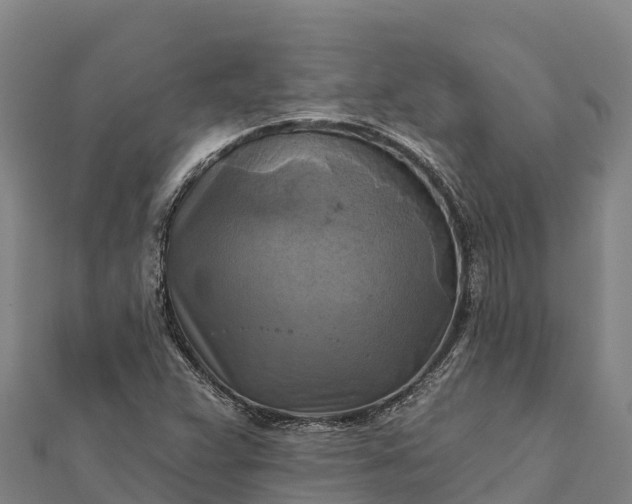 X0000112101359200908181316