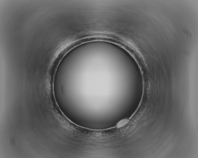 X0000112101360200908181316