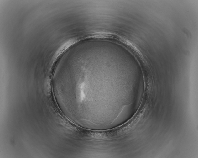 X0000112101362200908181316