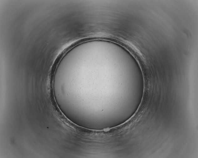 X0000112101364200908181316