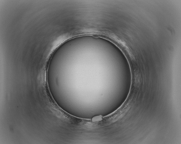 X0000112101365200908181316
