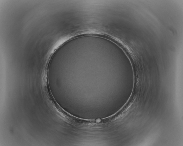 X0000112101367200908181316