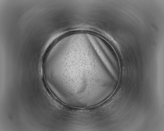 X0000112101368200908181316