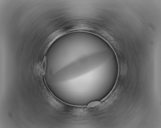 X0000112101369200908181316