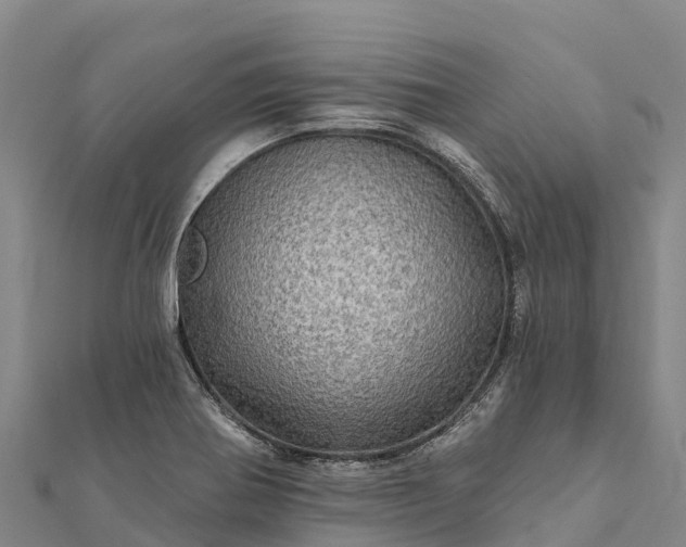 X0000112101370200908181316
