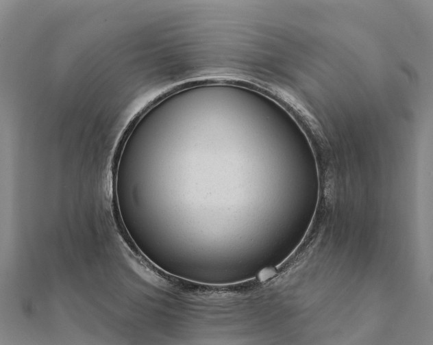 X0000112101372200908181316
