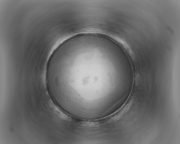 X0000112101374200908181316