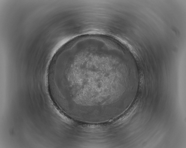 X0000112101375200908181316