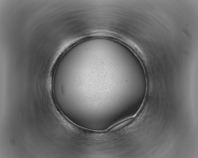 X0000112101376200908181316