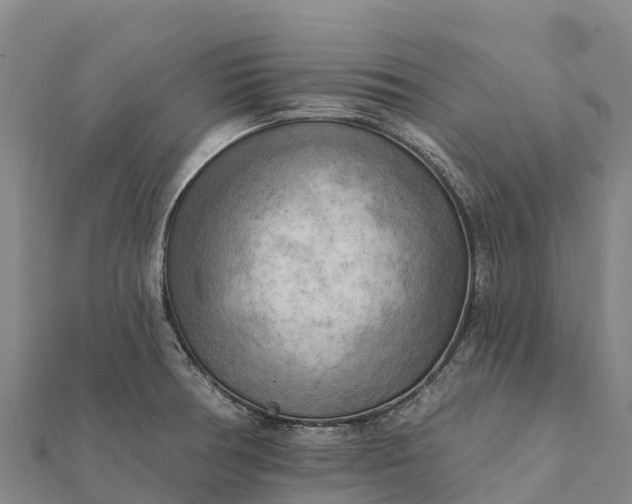 X0000112101378200908181316