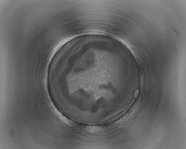 X0000112101379200908181316