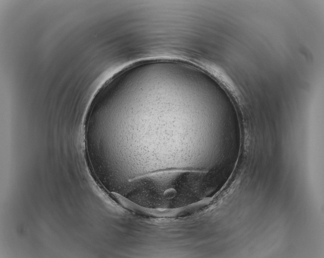 X0000112101380200908181316