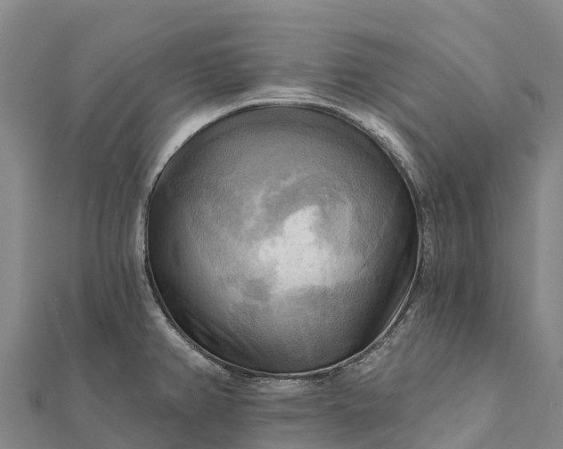 X0000112101382200908181316
