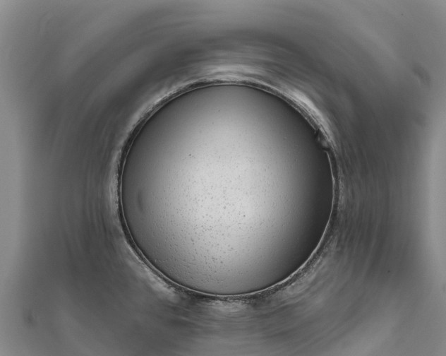 X0000112101384200908181316