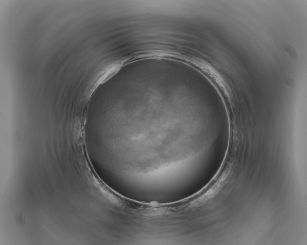 X0000112101385200908181316