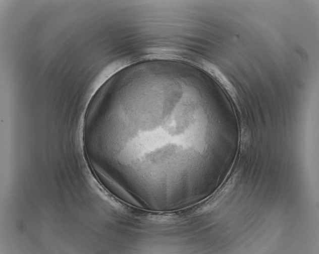 X0000112101386200908181316