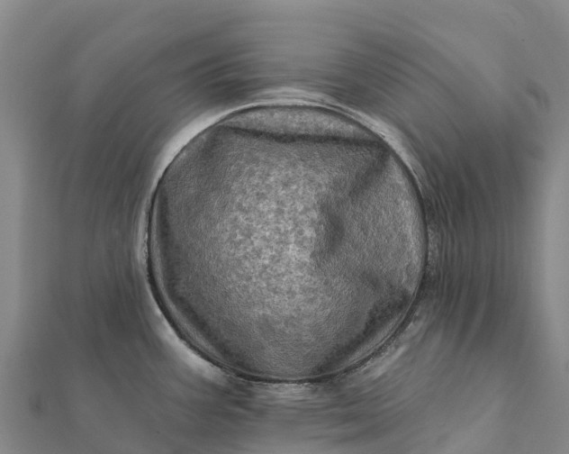 X0000112101387200908181316