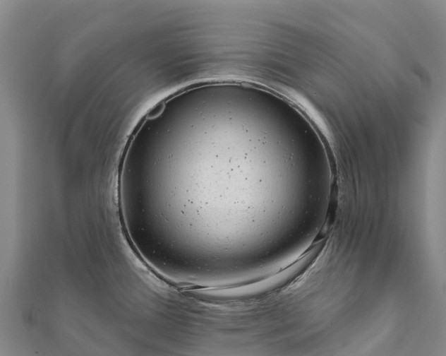 X0000112101388200908181316