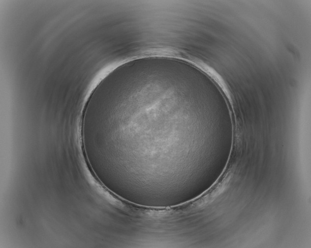 X0000112101389200908181316