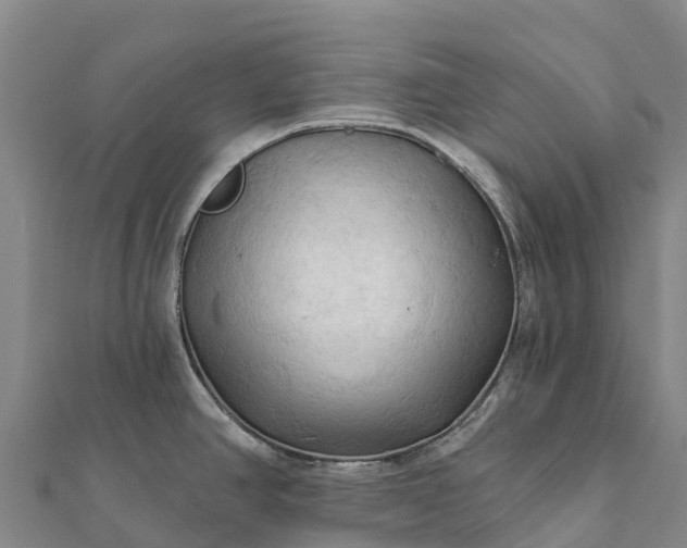X0000112101390200908181315