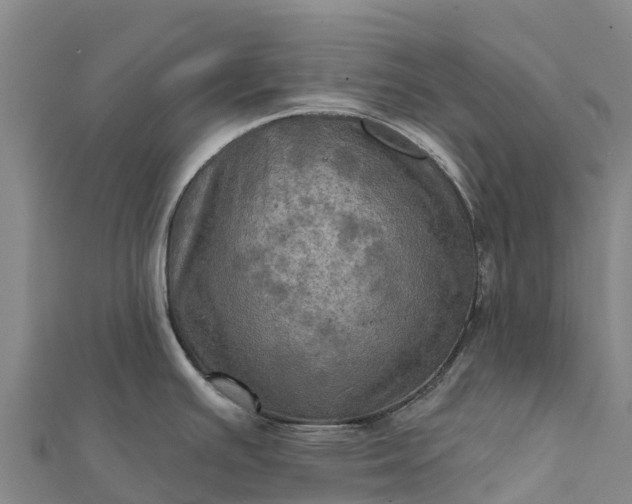 X0000112101391200908181315