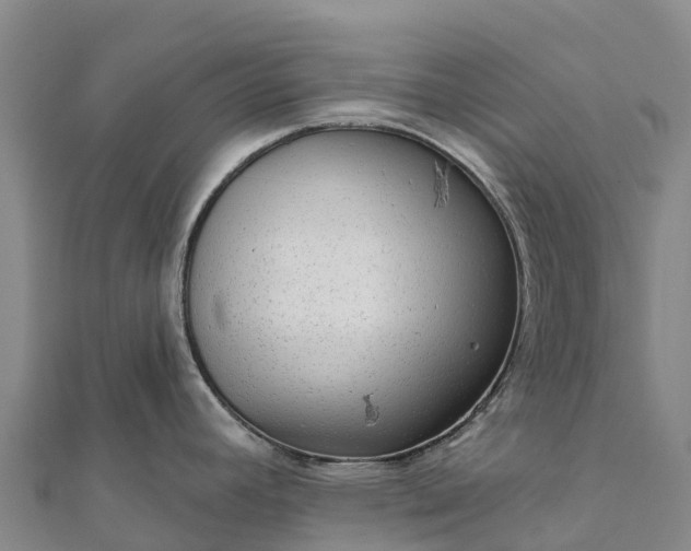 X0000112101392200908181315