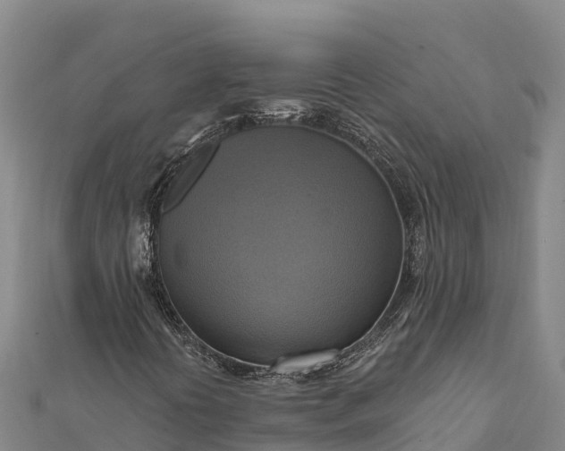X0000112101394200908181315