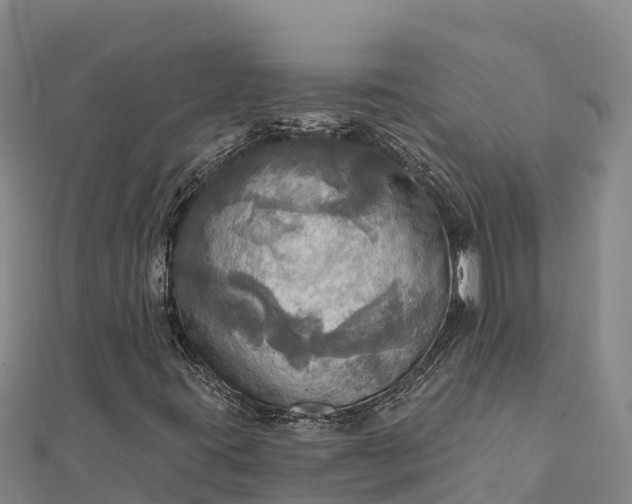 X0000112101395200908181315