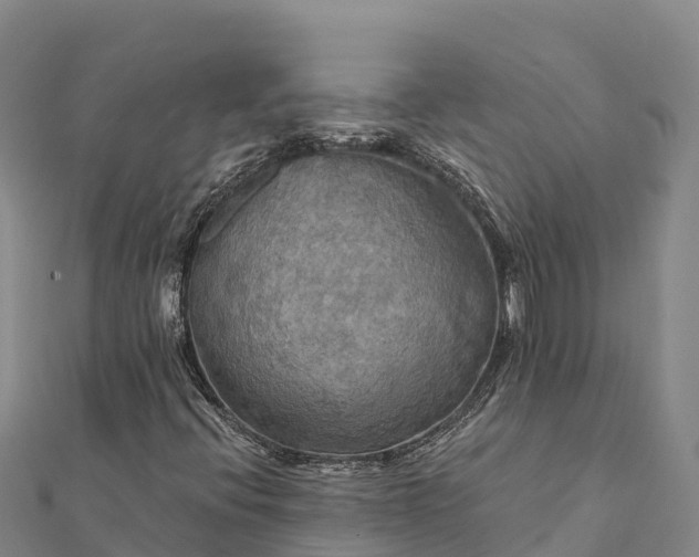 X0000112101396200908181315