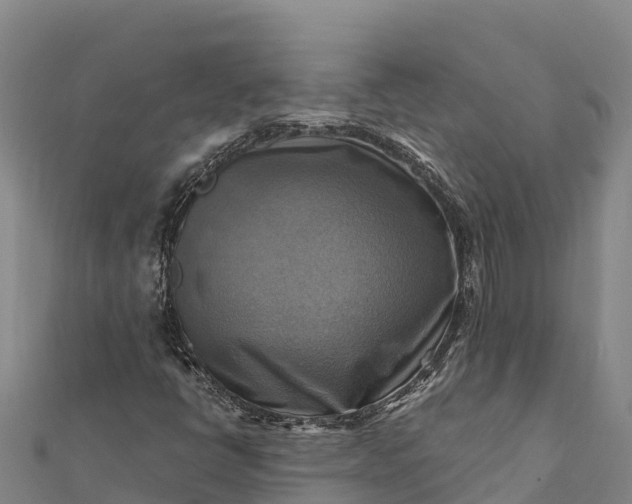 X0000112101398200908181315