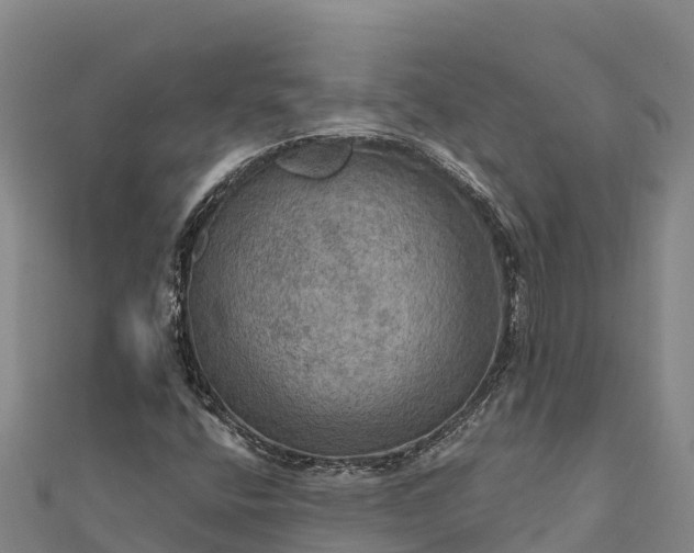 X0000112101400200908181315
