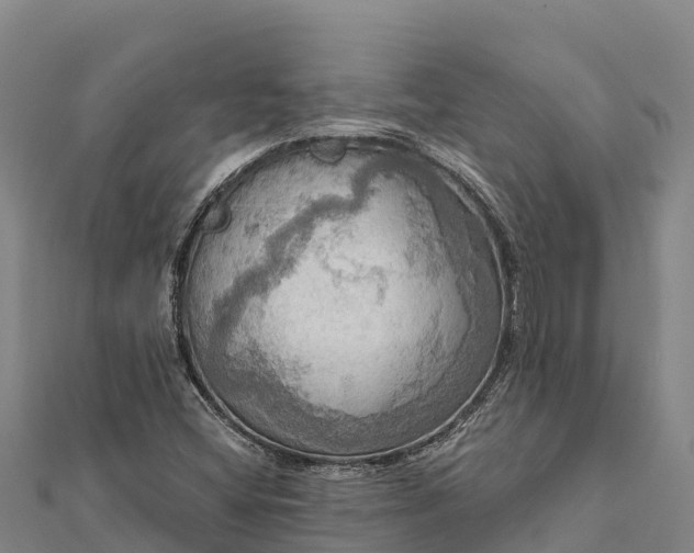 X0000112101404200908181315