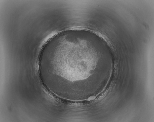 X0000112101406200908181315