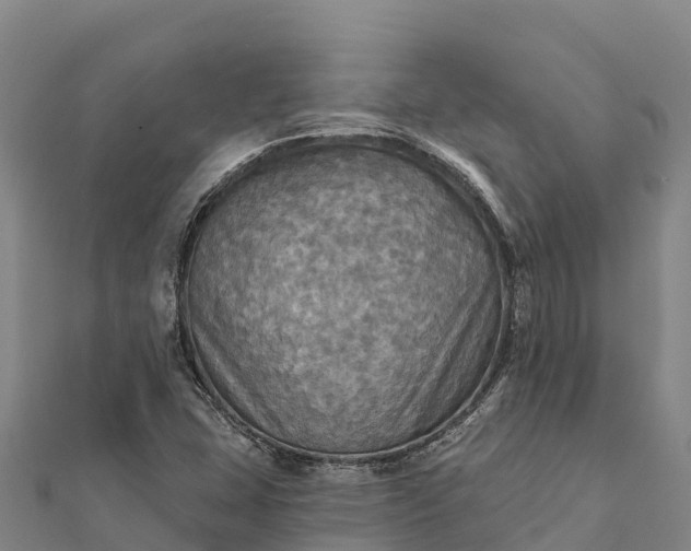 X0000112101407200908181315