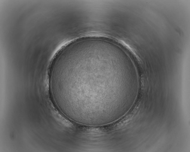 X0000112101408200908181315