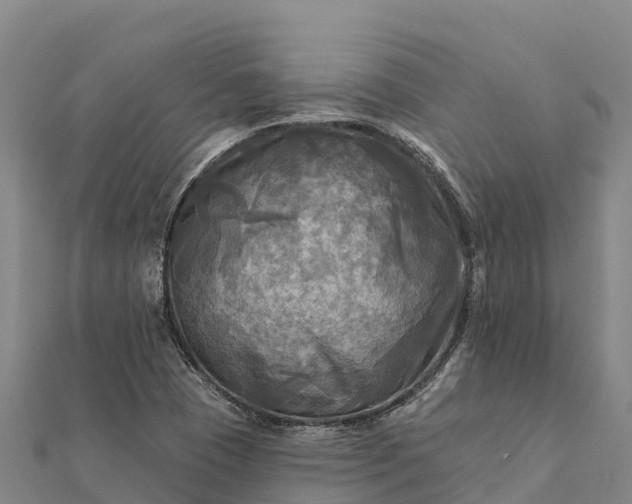 X0000112101409200908181315
