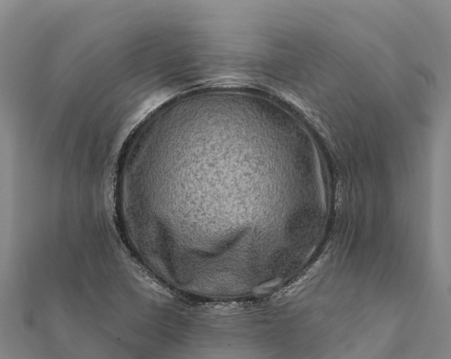 X0000112101410200908181315