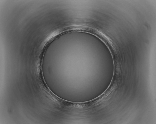 X0000112101411200908181315