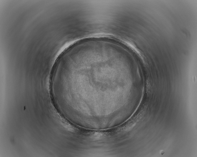 X0000112101412200908181315