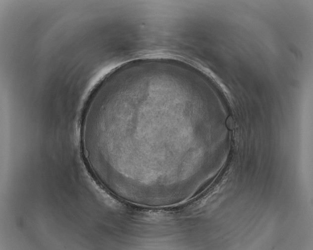 X0000112101416200908181315