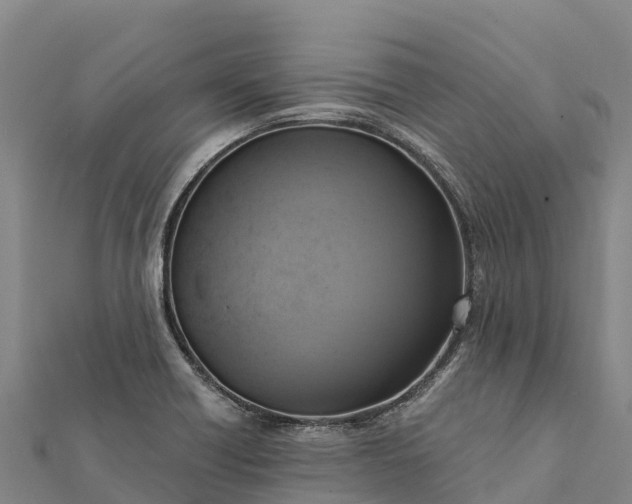 X0000112101418200908181315