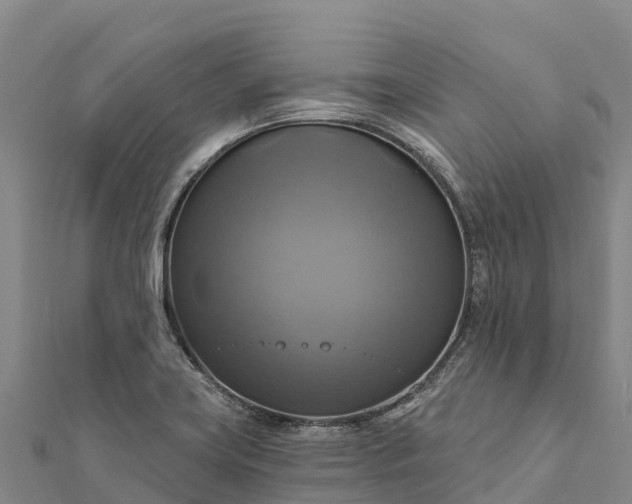 X0000112101419200908181315