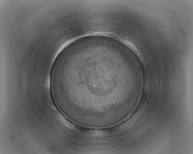 X0000112101420200908181315