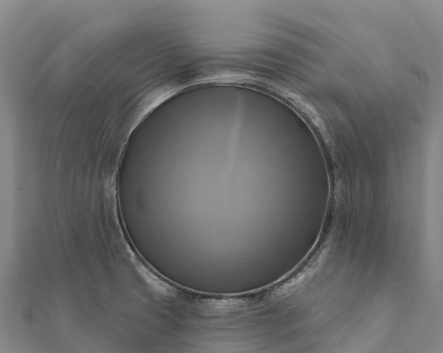 X0000112101425200908181315