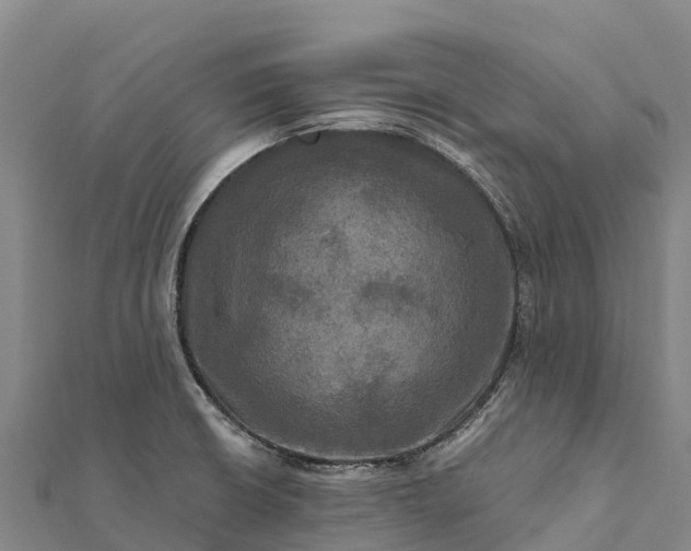 X0000112101426200908181315