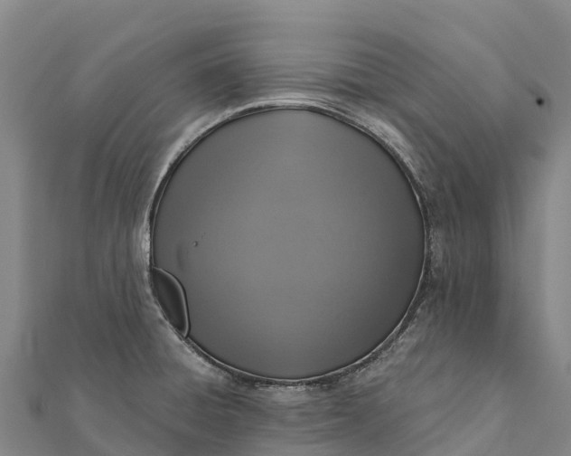 X0000112101428200908181315