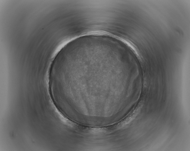 X0000112101430200908181315